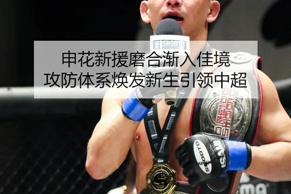 申花新援磨合渐入佳境 攻防体系焕发新生引领中超